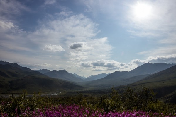 Dempster Highway   61 by Laurie Kindred